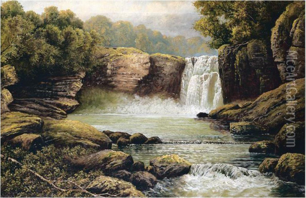 The Waterfall Oil Painting - Frank Herbert