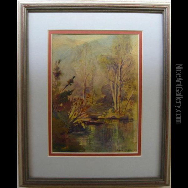 Creek Study; Landscape Study Oil Painting - Owen B. Staples