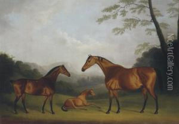 Mares And A Foal In A Landscape Oil Painting - Daniel Clowes