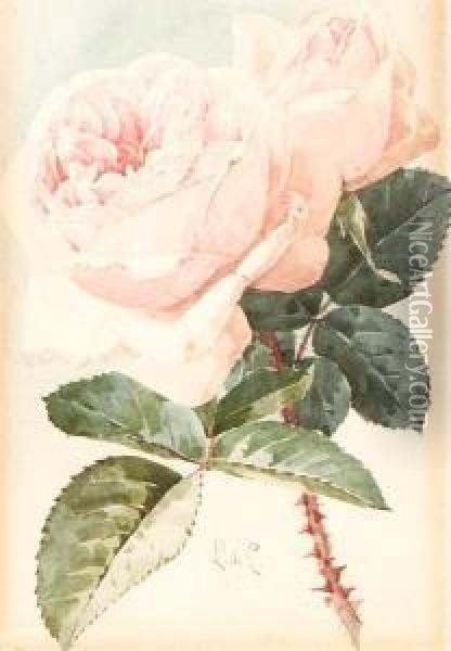 Pink Roses Oil Painting - Paul De Longpre