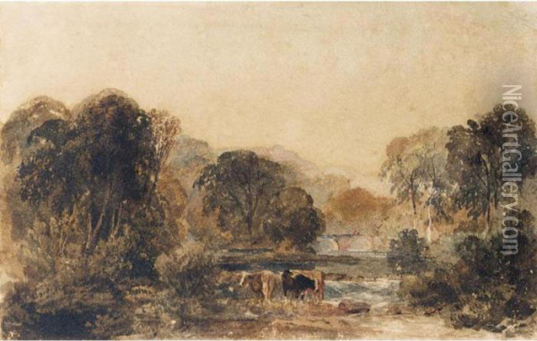 Cattle By A Stream In A Wooded Landscape Oil Painting - Peter de Wint