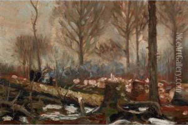 Fallen Timber Oil Painting - Tom Thomson