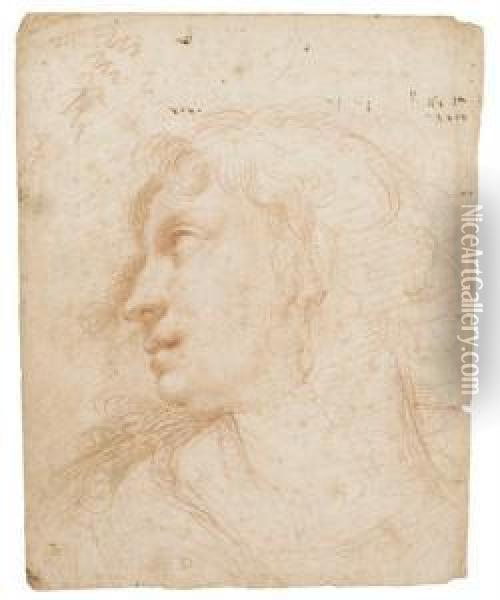 Head Of A Young Woman Wearing An Earring, In Profile To The Left Oil Painting - Ercole Ii Procaccini