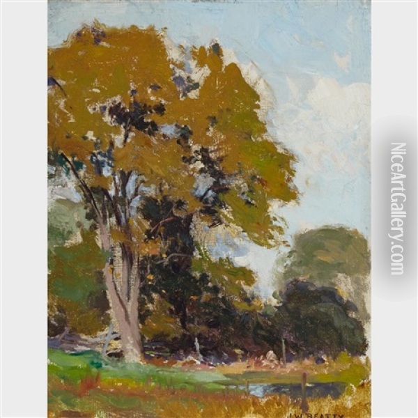 Landscape With Tree Oil Painting - John William Beatty