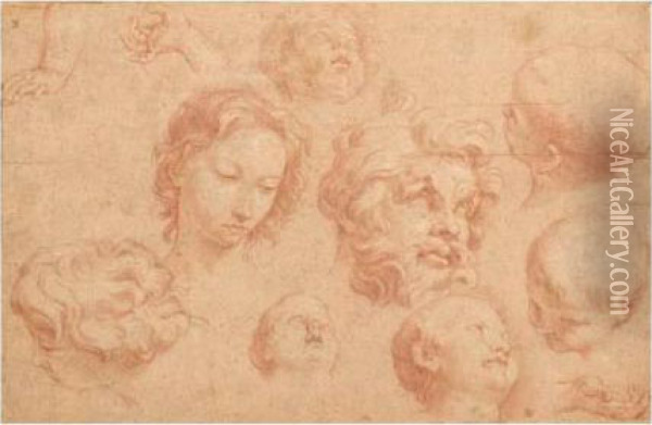 Sheet Of Studies Of Heads And Hands Oil Painting - Carlo Maratta or Maratti