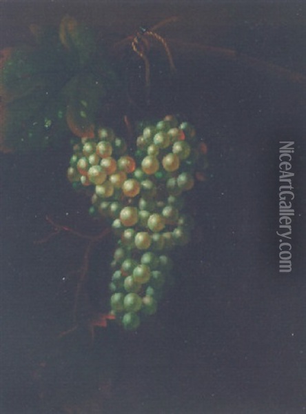 A Bunch Of Grapes On A Vine, With A Fly Oil Painting - William Jones