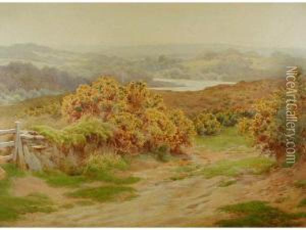 Landscape With A Lake In The Distance And A Track Through Gorse Oil Painting - Charles James Adams