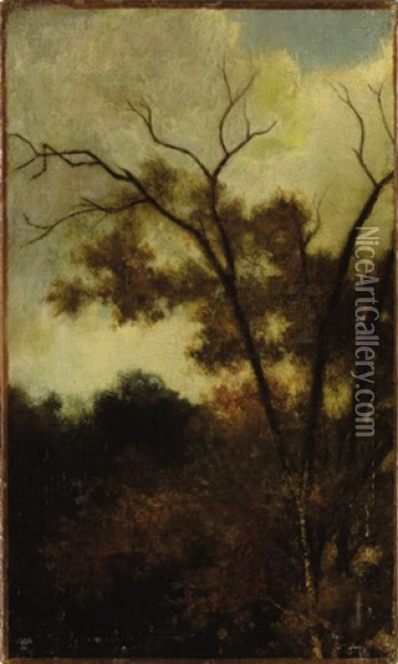 Woodland Landscape Oil Painting - Charles Francois Daubigny