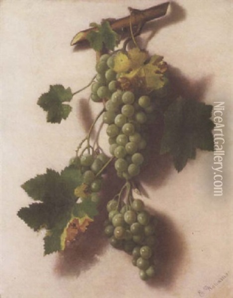 A Still Life Of Hanging Grapes Oil Painting - Elizabeth Williams