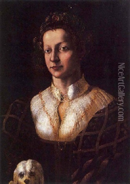 Portrait De Jeune Femme Avec Son Petit Chien Oil Painting -  Romanino (Girolamo Romani)