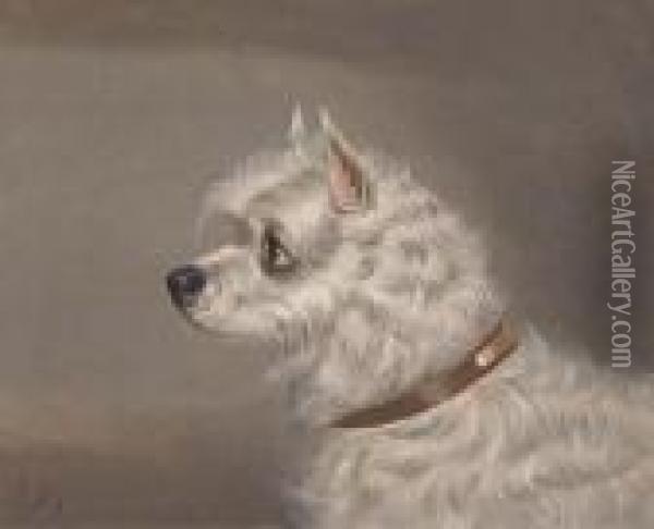 A Skye Terrier Oil Painting - Of John Alfred Wheeler