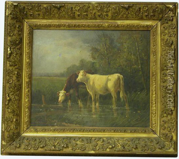 Vaches S'abreuvant Dans Une Mare Oil Painting - Eugene Fromentin