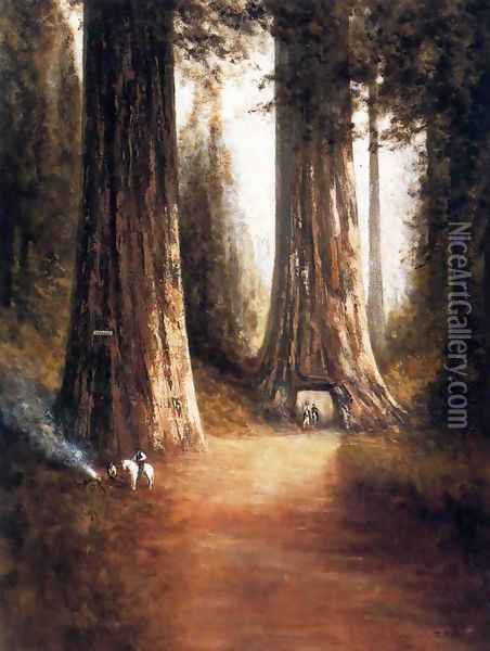 Sequoia Gigantea Oil Painting - Thomas Hill
