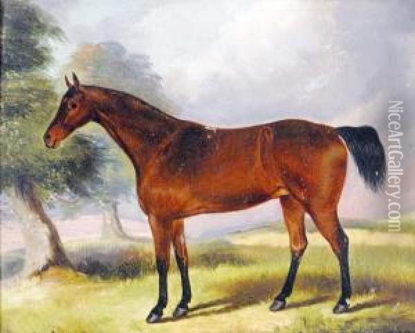 Portrait Of A Bay Mare, Jinny, By Wynot, Foaled In 1842 Oil Painting - John Vine Of Colchester