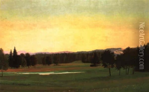 Osterseen-landschaft Oil Painting - Georg Schrimpf