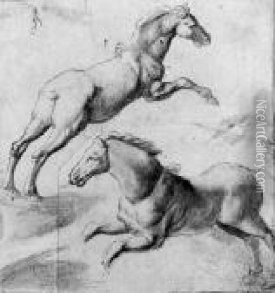 Study Of Two Horses Jumping Oil Painting - Giulio Romano