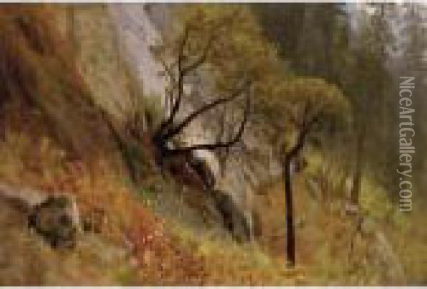 Landscape Study: Yosemite, California Oil Painting - Albert Bierstadt