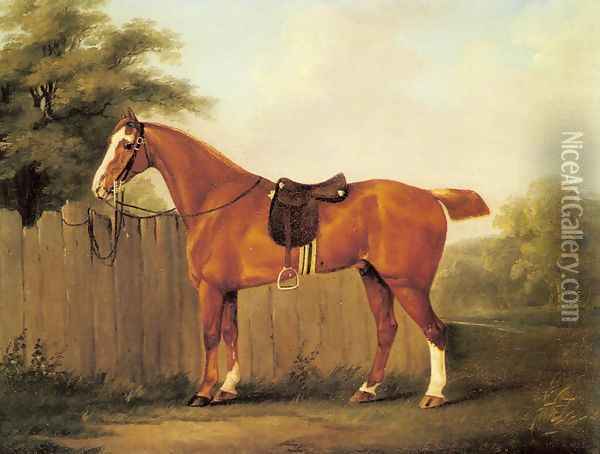 A Chestnut Hunter Tethered to a Fence Oil Painting - John Nost Sartorius