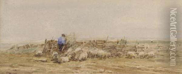 A Norfolk Sheep Fold Oil Painting - Claude Hayes