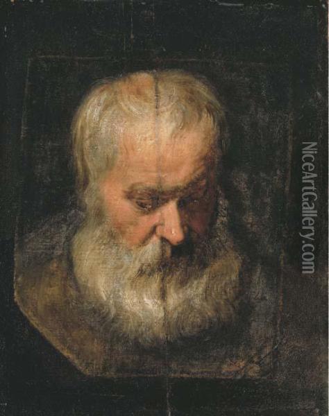 A Head Study Of A Bearded Man Oil Painting - Sir Anthony Van Dyck