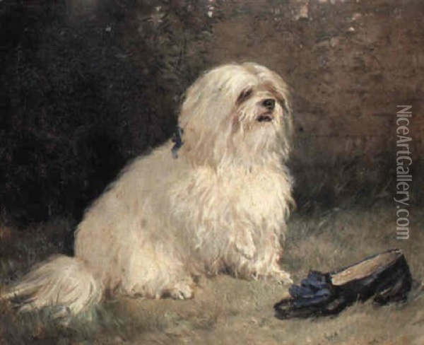 Maltese Terrier Oil Painting - Heywood Hardy
