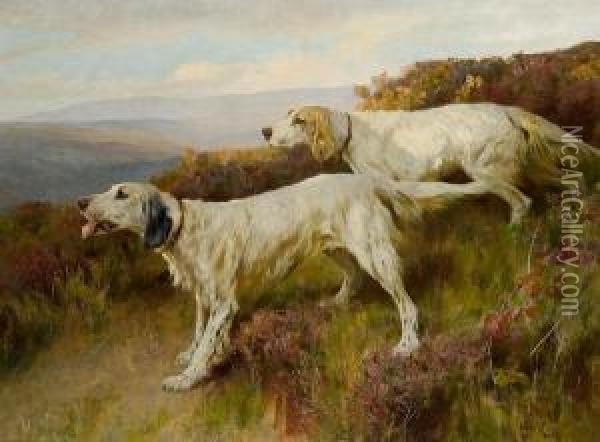Two English Setters On A Moor Oil Painting - Arthur Wardle