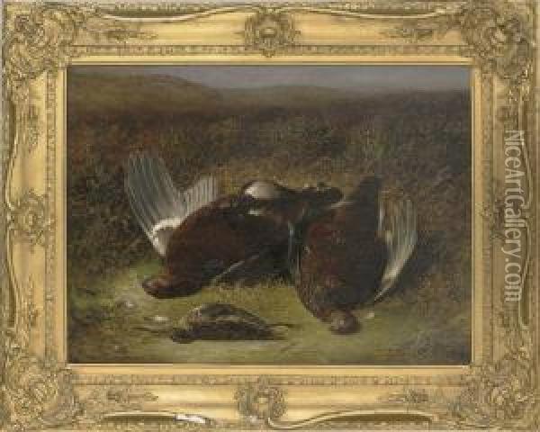 Two Grouse And A Jack Snipe Oil Painting - Abel Hold