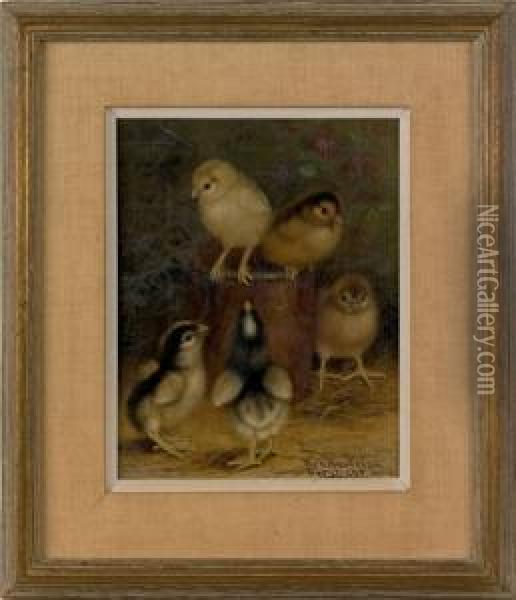 Chicks On A Tin Can Oil Painting - Ben Austrian
