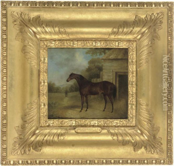 A Bay Horse Outside A Stable, In A Landscape Oil Painting - Philip Reinagle