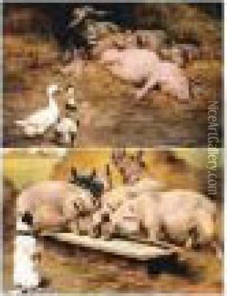 Sleeping Pigs; Pigs At The Trough Oil Painting - Herbert William Weekes