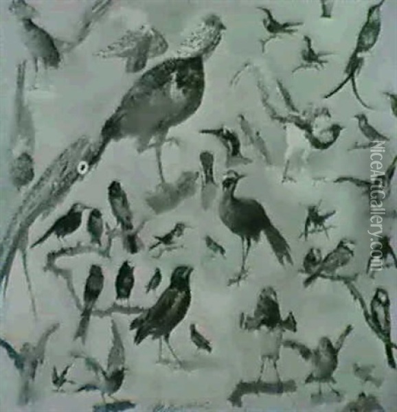 Vogeldarstellungen Oil Painting - Joseph Mittey