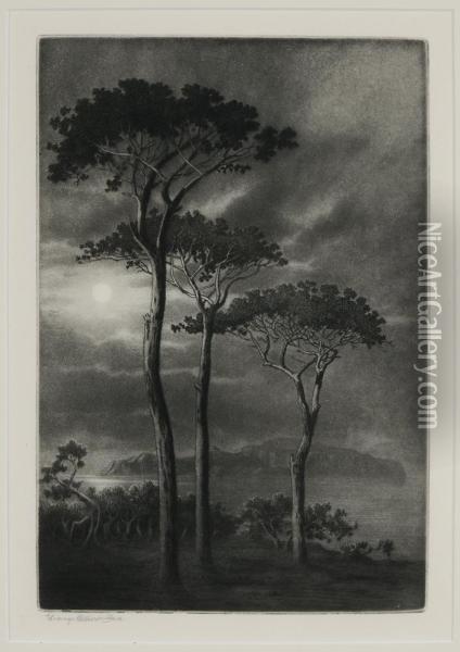 Trees In The Moonlight Oil Painting - George Elbert Burr