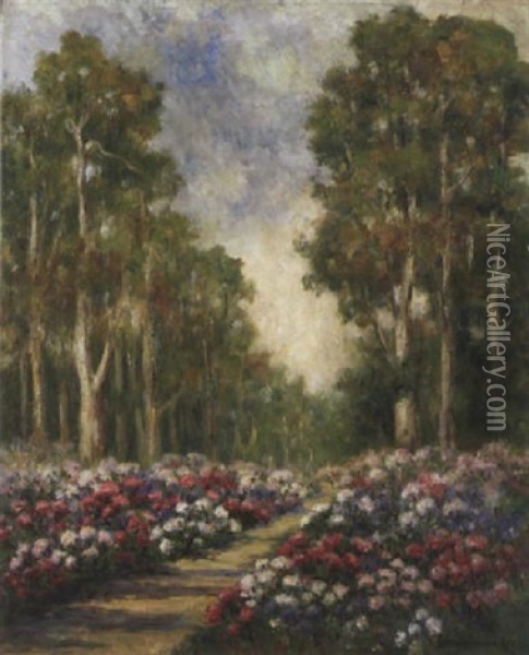 Rhododendrons, Golden Gate Park (no.1068) Oil Painting - Bertha Stringer Lee