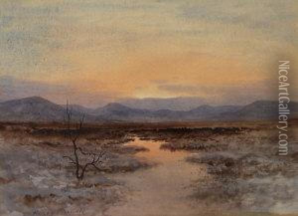 Marshland With Sunset Over Mountains In The Distance Oil Painting - William Percy French