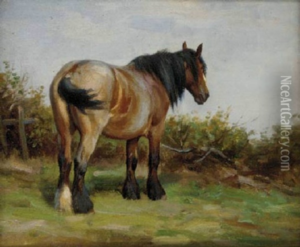 A Pony In A Field Oil Painting - Wright Barker