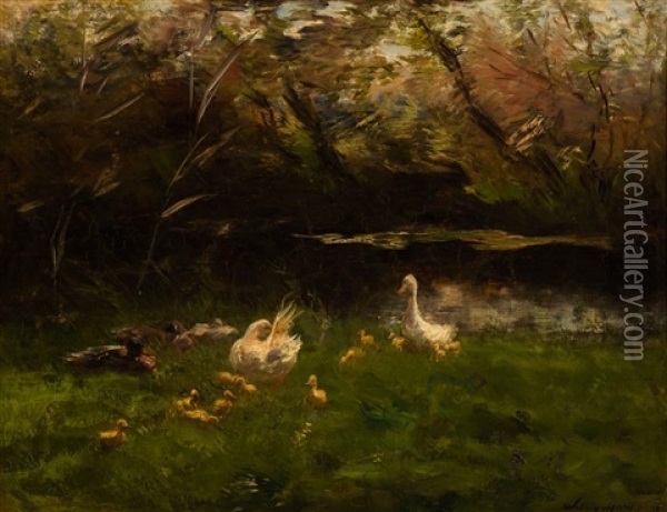 A Family Of Ducks By The Water Oil Painting - Willem Maris