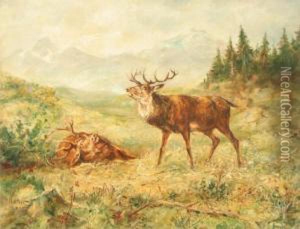 Rohrender Hirsch Auf Waldwiese Vor Hochalpenkulisse Oil Painting - Walter Plattner