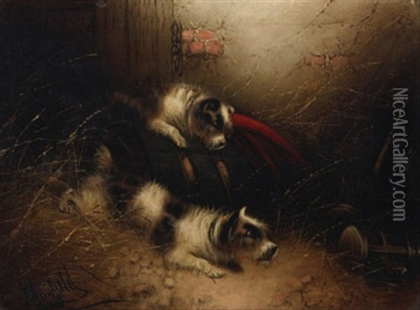 Terriers Ratting Oil Painting - Edward Armfield