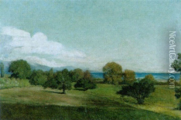 Landschaft Am Genfersee An Einem Sonnigen Nachmittag Oil Painting - Horace De Saussure