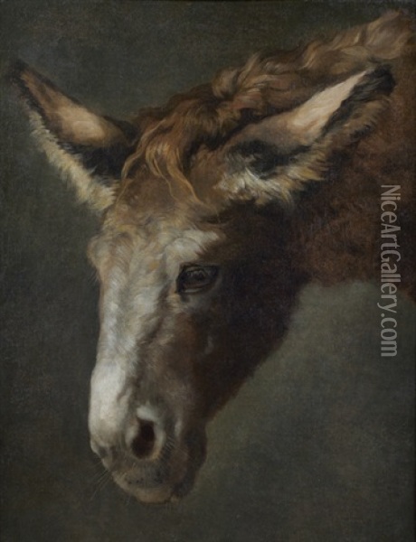 Ane (study) Oil Painting - Jacques-Laurent Agasse