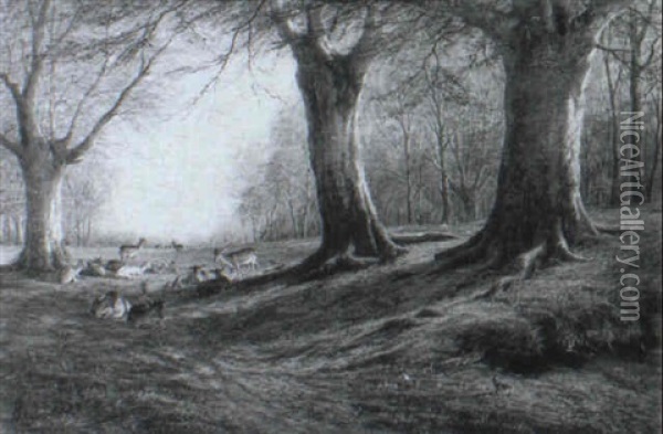 Deer Resting In A Woodland Glade Oil Painting - William Luker Sr.