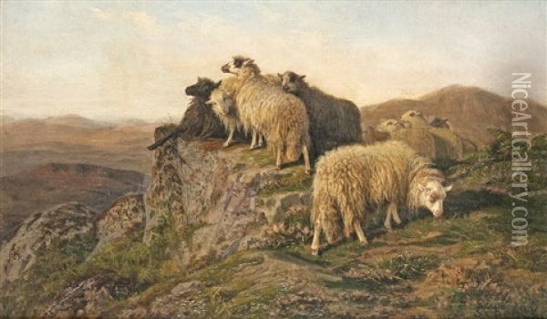 Sheep On The Hill Oil Painting - August Friedrich Albrecht Schenck