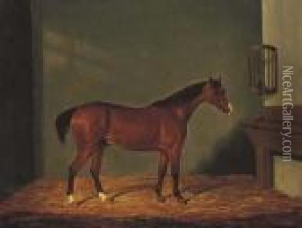 A Bay Hunter In A Stable Oil Painting - James Loder