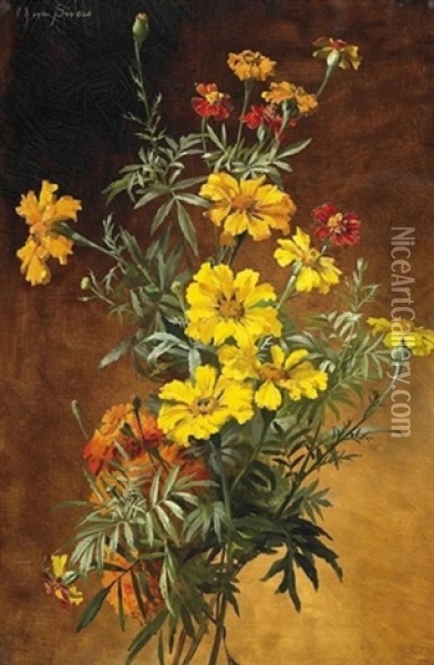 Blumenstilleben Mit Tagetes Oil Painting - Clara Von Sivers