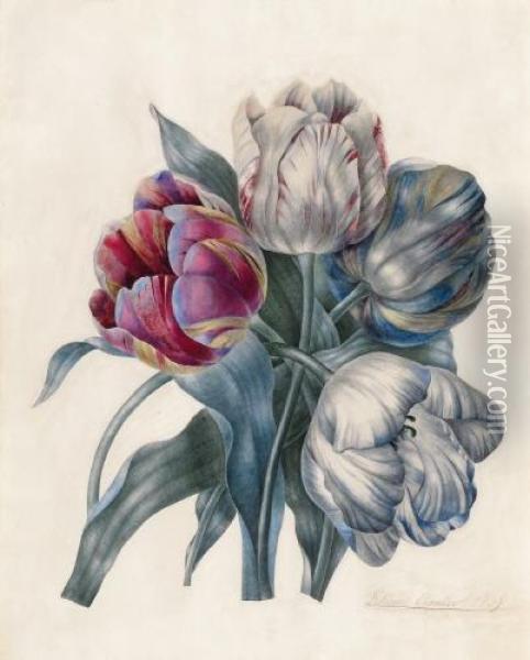 Blumenstraus In Weis, Rot Und Blau Oil Painting - Felicie Cronier