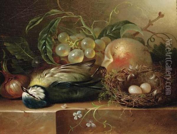 Fruit And A Bird's Nest On A Ledge Oil Painting - Jan Hendrik Verheijen