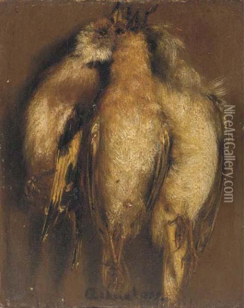 Three Dead Finches Hanging On A Nail Oil Painting - Carel Fabritius