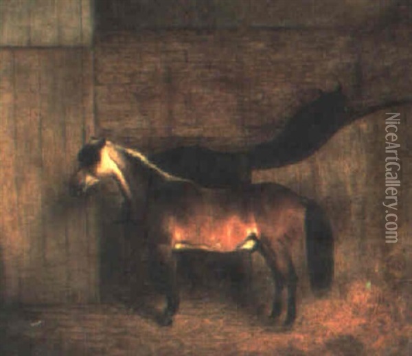 Bay Pony In A Stable Oil Painting - William Huggins