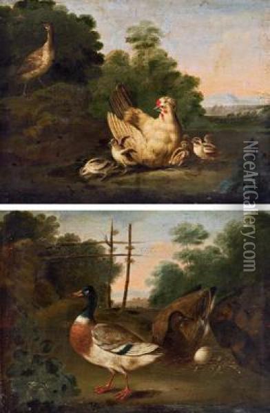 Paesaggio Con Pennuti; Paesaggio Con Anatre Oil Painting - Pieter III Casteels