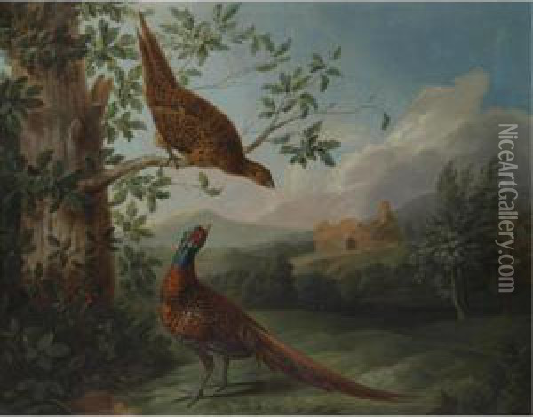 A Pair Of Pheasants In An Extensive Landscape Oil Painting - Stephen Elmer